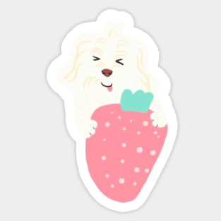 Strawberry Maltipoo Sticker